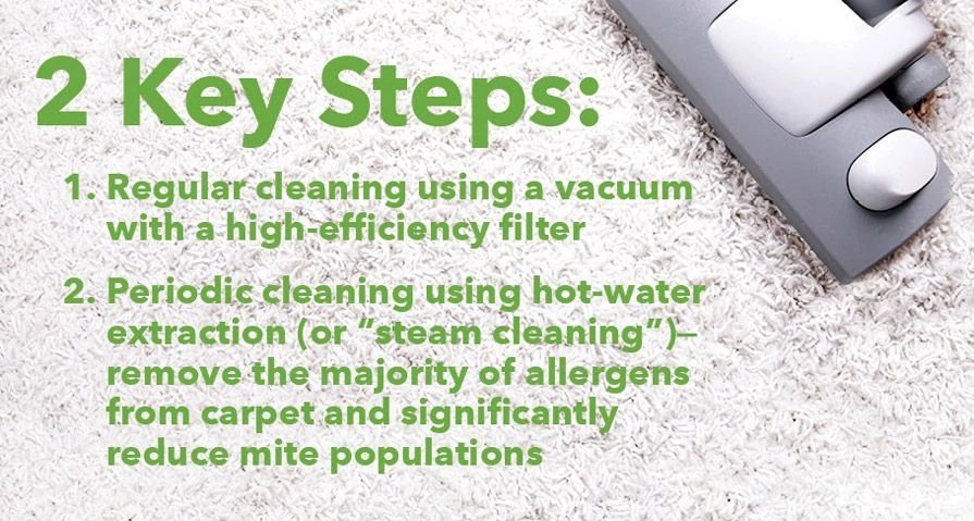 Two Key Steps: Regular Cleaning Using a Vaccum With a High-Efficiency Filter
